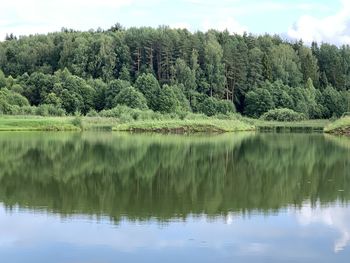 Reflection of trees in lake against sky