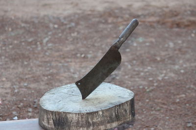 Close-up of padlock on tree stump