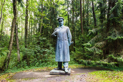 Rear view of man standing in forest