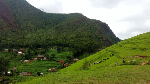 Countryside landscape against the sky