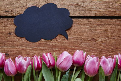 Directly above shot of tulips with speech bubble on table