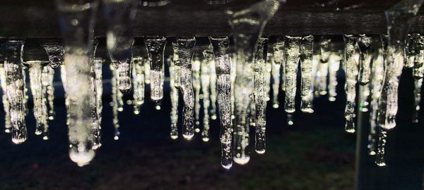 Close-up of icicles hanging from ice