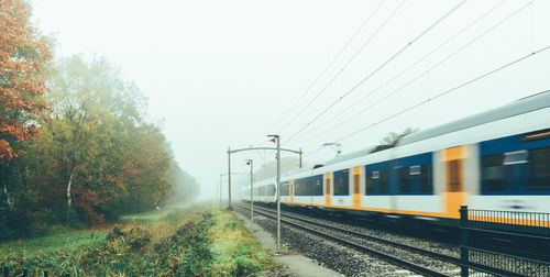 Train moving on tracks by trees during foggy weather