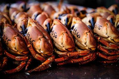 Crabs on market stall for sale