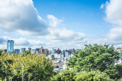 Trees and cityscape against sky