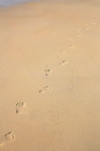 High angle view of footprint on beach