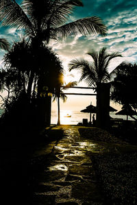 Silhouette palm trees against sky