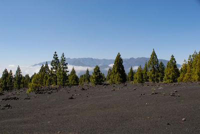 Panoramic view of landscape against clear blue sky