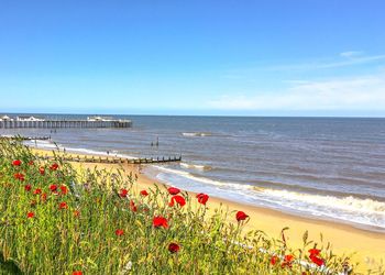 Scenic view of sea against sky