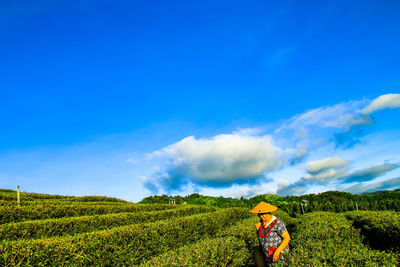 Scenic view of agricultural field against blue sky