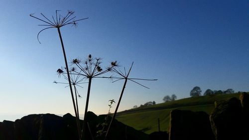 Low angle view of trees against clear blue sky