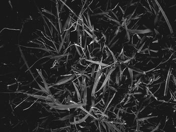 Full frame shot of black background