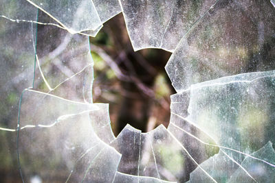 Full frame shot of broken spider web on plant