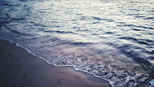 Scenic view of beach