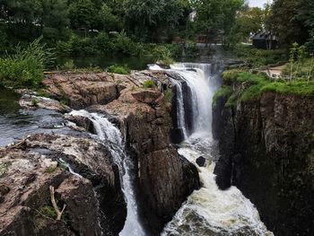 Scenic view of waterfall in forest