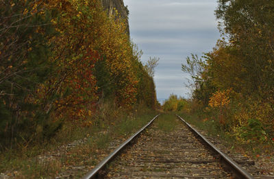 Railroad track amidst trees during autumn