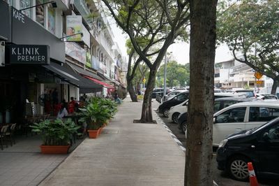 View of plants in city