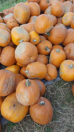 Full frame shot of pumpkins at market