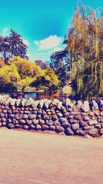 View of trees against sky