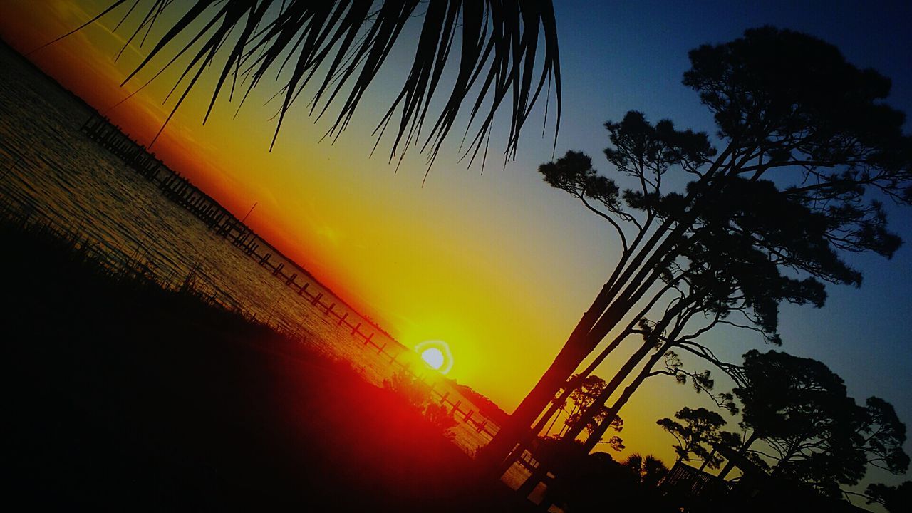 sunset, silhouette, tree, low angle view, sky, orange color, illuminated, built structure, dusk, architecture, building exterior, night, nature, no people, outdoors, palm tree, branch, tranquility, beauty in nature, scenics