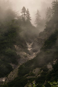 Stream at kamnik-savinja alps in foggy weather