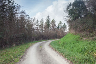 Empty road along trees and plants against sky