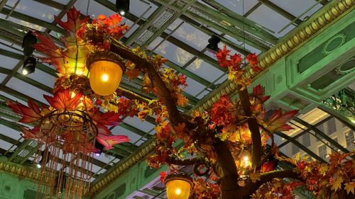 Low angle view of illuminated lanterns hanging by building