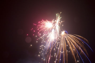 Low angle view of firework display at night