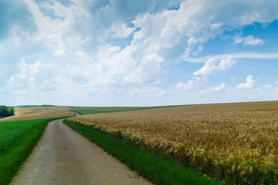 Scenic view of agricultural field against sky