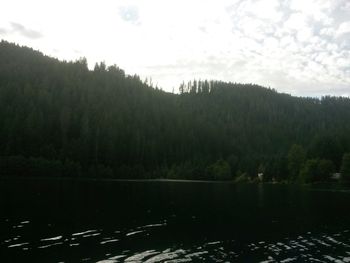 Scenic view of river and trees against sky