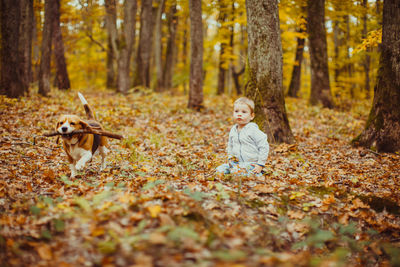 Portrait of boy with arms outstretched in forest during autumn