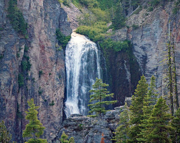 Scenic view of waterfall in forest