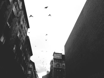 Low angle view of building