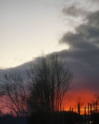 Silhouette bare trees against sky during sunset