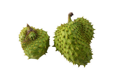 Close-up of berries against white background