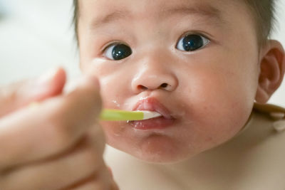 Close-up portrait of cute boy eating