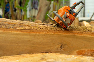 Close-up of chainsaw in the log