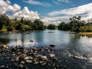 View of calm lake surrounded by trees
