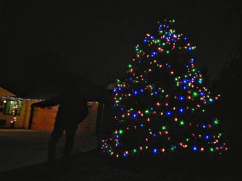 Illuminated christmas tree at night