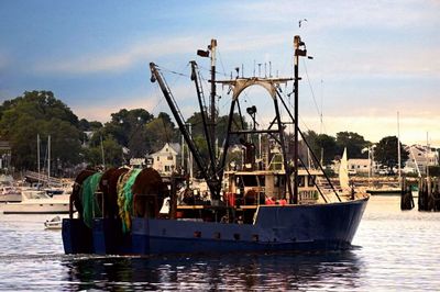 Boats moored at harbor