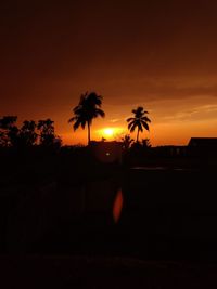 Silhouette palm trees against sky during sunset