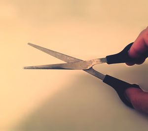 Close-up of hand holding leaf
