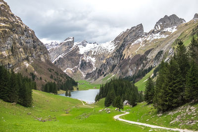 Scenic view of trees and mountains against sky