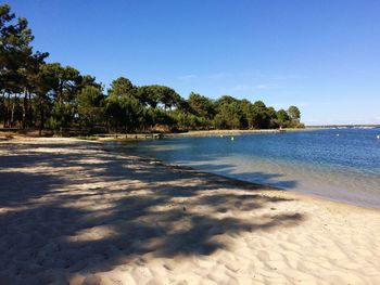 Scenic view of beach against clear blue sky