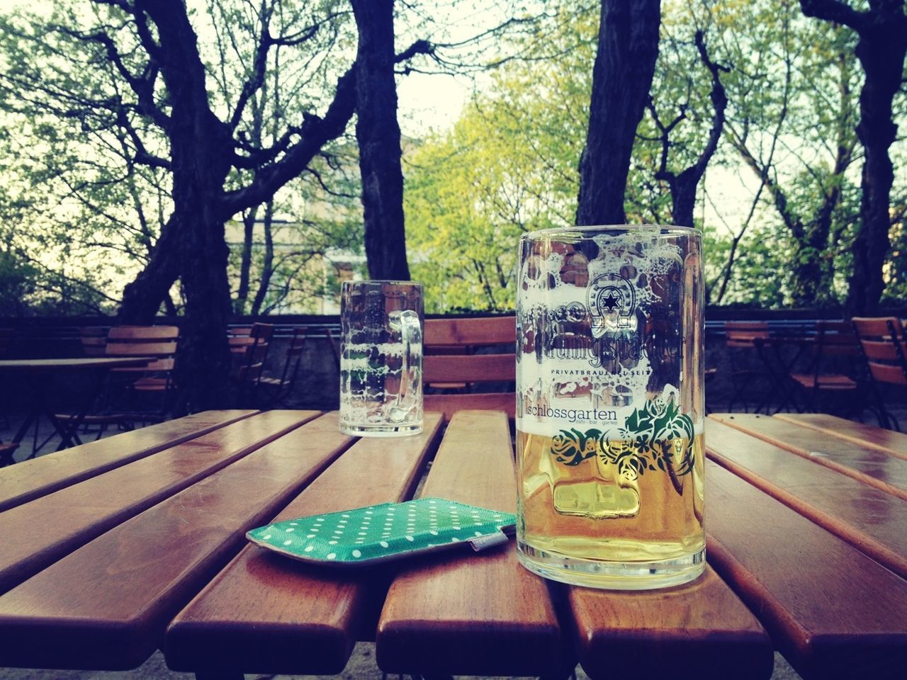 food and drink, table, drink, tree, freshness, refreshment, drinking glass, focus on foreground, glass - material, still life, close-up, day, sunlight, growth, indoors, water, transparent, restaurant, no people, wood - material