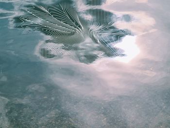 High angle view of feather and sea against sky