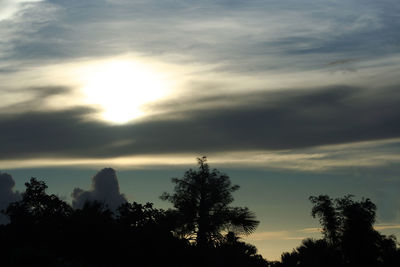 Low angle view of silhouette trees against sky during sunset