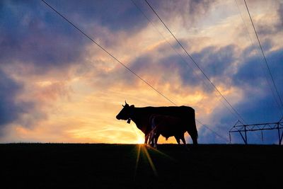 Silhouette standing on landscape against sky during sunset