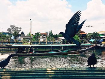 Birds in park against sky