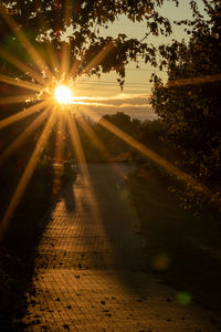 Sunlight streaming through trees against sky during sunset